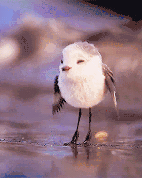 280_350 竖版 竖屏 gif 动态图 动图