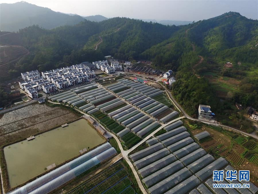 （扶贫攻坚）（1）江西瑞金华屋村：昔日土屋村 今天蔬果园