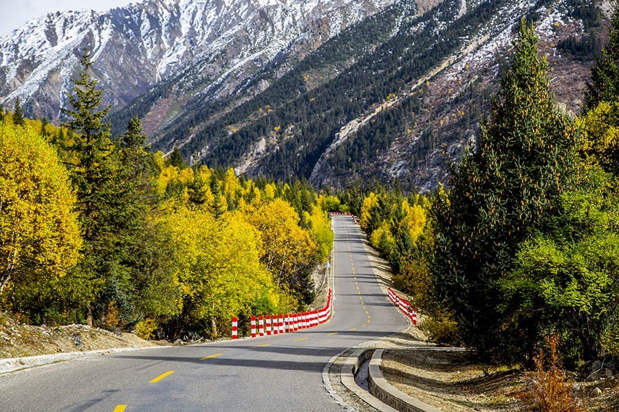 【大美中国】西藏波密,一年四季都是香巴拉