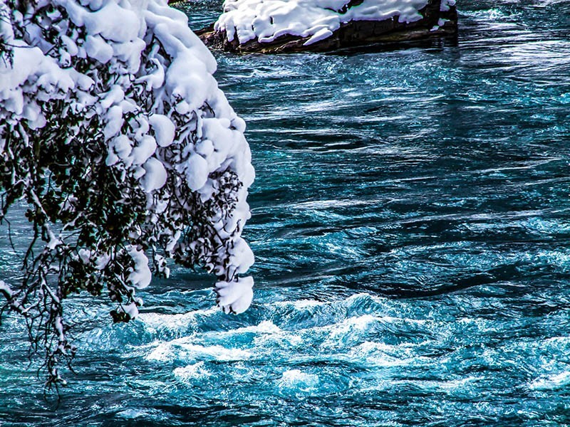 【大美中国】西藏波密,一年四季都是香巴拉