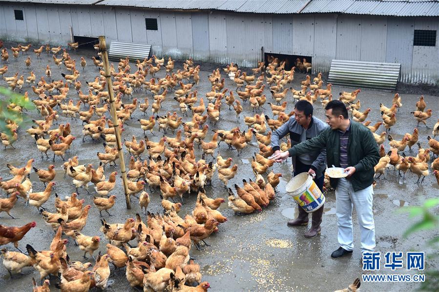 （新华全媒头条&middot;扶贫一年间&middot;图文互动）（3）向共同迈向全面小康砥砺奋进&mdash;&mdash;写在中央扶贫开发工作会议召开一周年之际