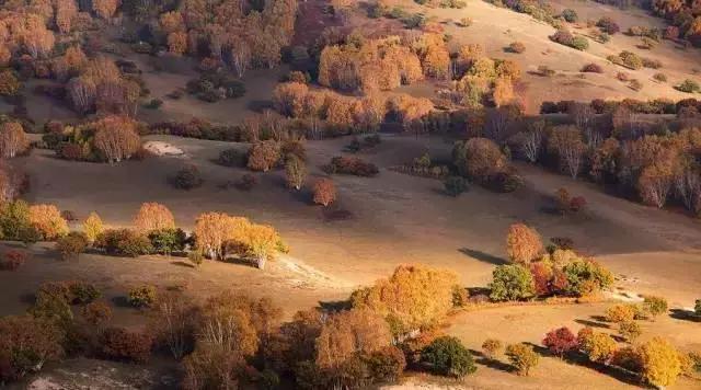 旷古稀世的奇珍宝训——《菜根谭》精选30句