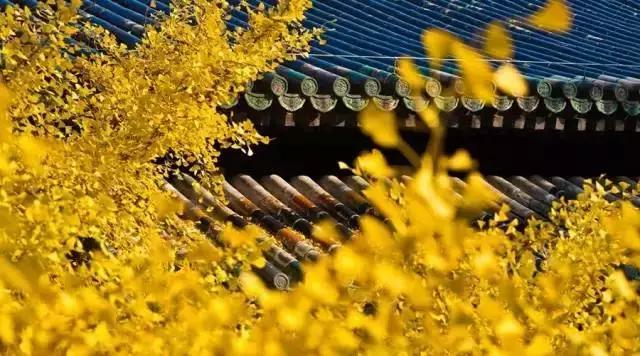 旷古稀世的奇珍宝训——《菜根谭》精选30句