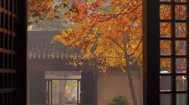 旷古稀世的奇珍宝训——《菜根谭》精选30句