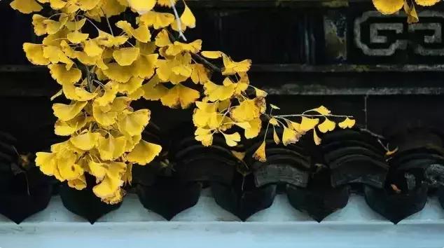 旷古稀世的奇珍宝训——《菜根谭》精选30句