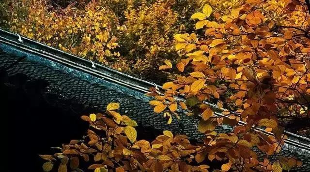 旷古稀世的奇珍宝训——《菜根谭》精选30句