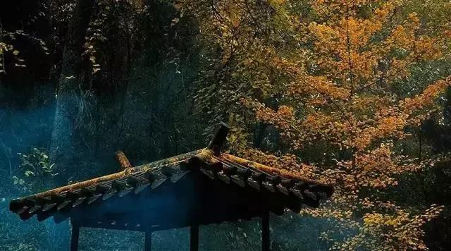 旷古稀世的奇珍宝训——《菜根谭》精选30句