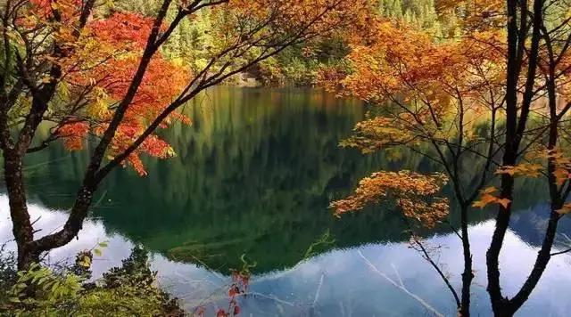 旷古稀世的奇珍宝训——《菜根谭》精选30句