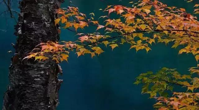 旷古稀世的奇珍宝训——《菜根谭》精选30句