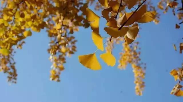 旷古稀世的奇珍宝训——《菜根谭》精选30句