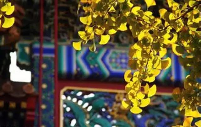 旷古稀世的奇珍宝训——《菜根谭》精选30句