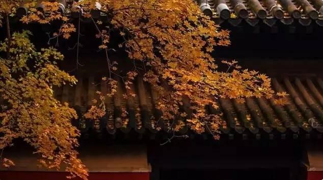 旷古稀世的奇珍宝训——《菜根谭》精选30句