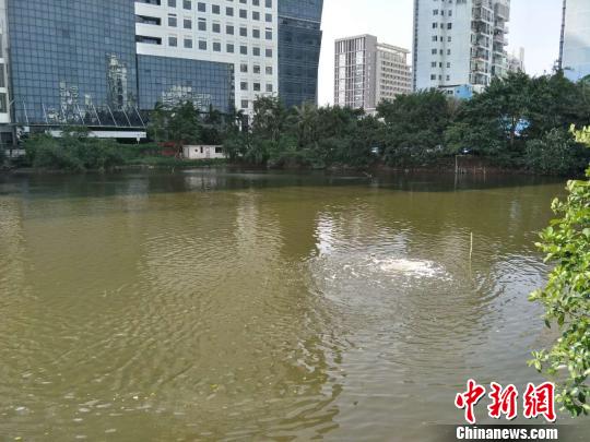 水利部回应&ldquo;全国担当河长官员行政级别是否统一&rdquo;