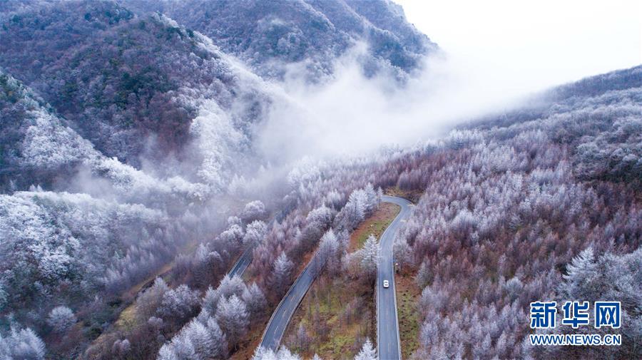 #（环境）（1）雪落神农架