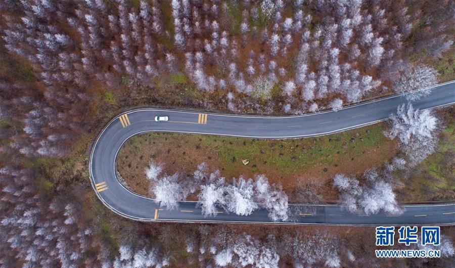 #（环境）（4）雪落神农架