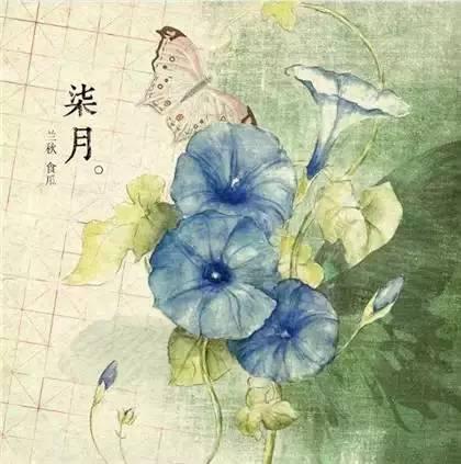 诗意一整年，画说十二月