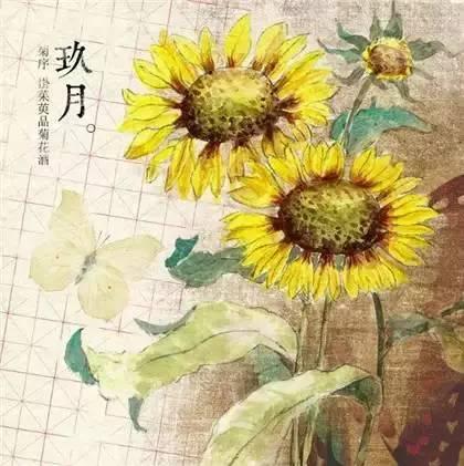 诗意一整年，画说十二月