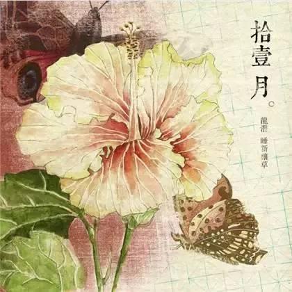 诗意一整年，画说十二月