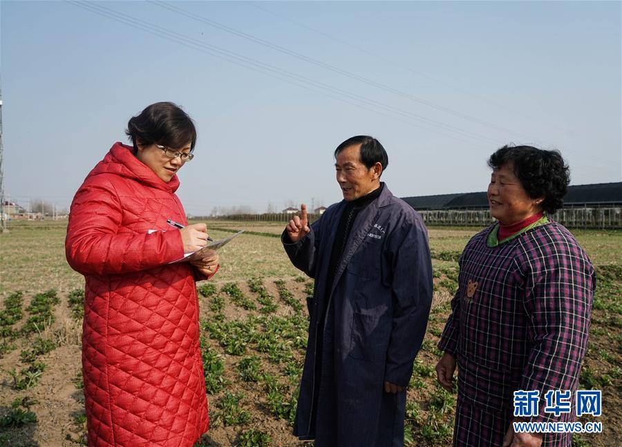（代表委员在基层）（1）刘玲：轮作休耕保护耕地
