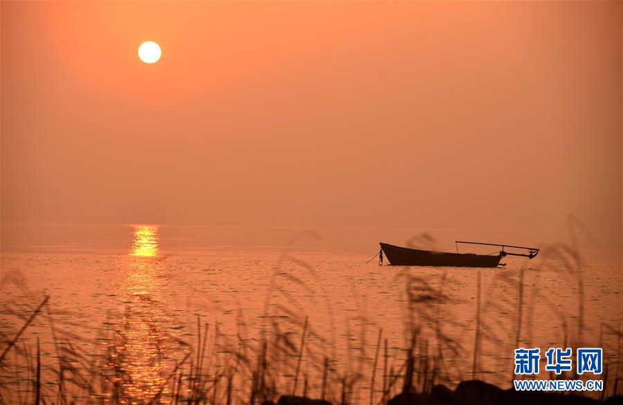 #（社会）（3）2017，旭日东升