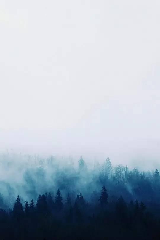 王维最美的20首诗:诗中有画,句句皆禅