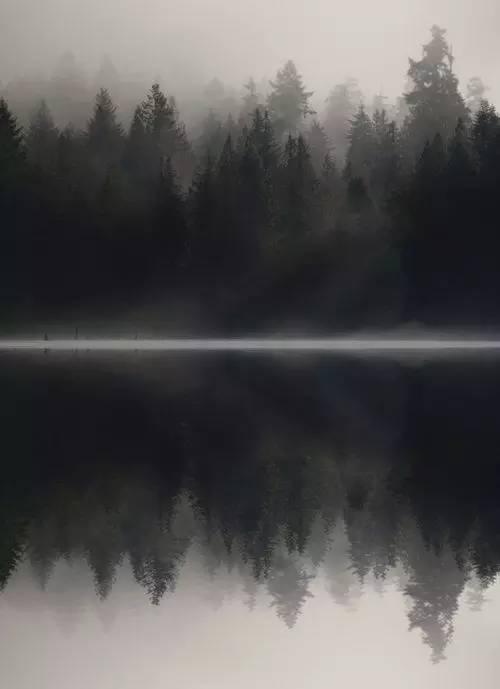 王维最美的20首诗:诗中有画,句句皆禅