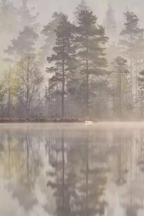 王维最美的20首诗:诗中有画,句句皆禅