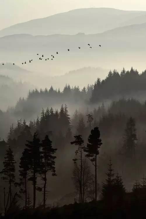 王维最美的20首诗:诗中有画,句句皆禅