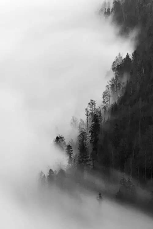 王维最美的20首诗:诗中有画,句句皆禅