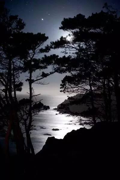 王维最美的20首诗:诗中有画,句句皆禅