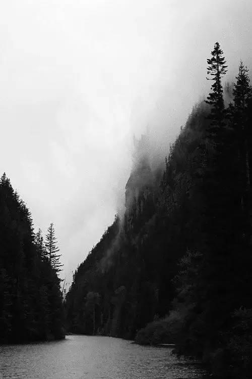 王维最美的20首诗:诗中有画,句句皆禅