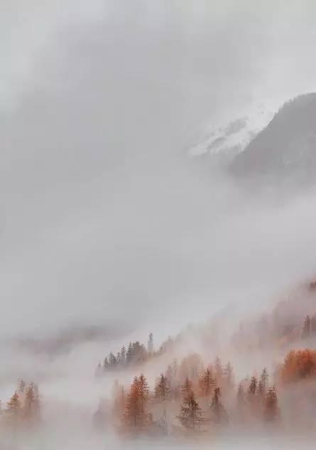 王维最美的20首诗:诗中有画,句句皆禅