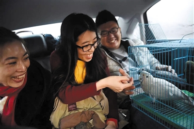 滴滴顺风车春节共运送420万人次 返程订单大部