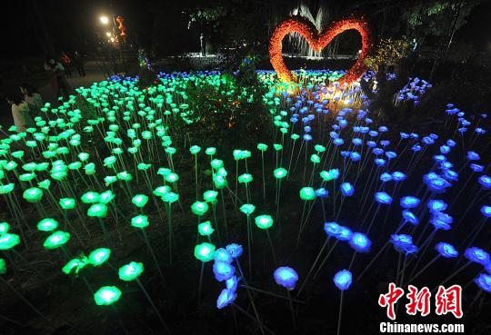 图为不断变化着各种颜色的&ldquo;玫瑰花灯&rdquo;吸引许多市民前来欣赏拍照。　张斌　摄