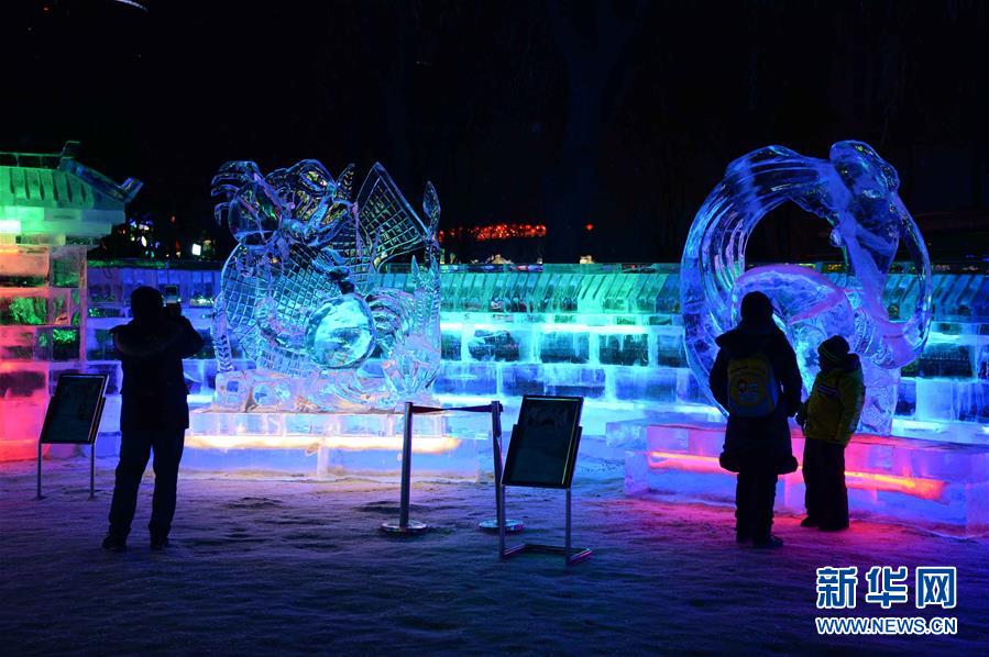 （社会）（1）七彩冰灯打造梦幻冰世界