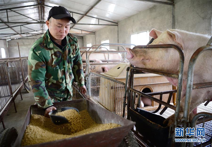 （新春走基层）（3）陕西安康：七堰&ldquo;重生&rdquo; 人安居