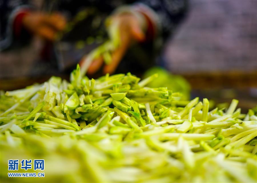 （图片故事）（4）一碟榨菜品匠心