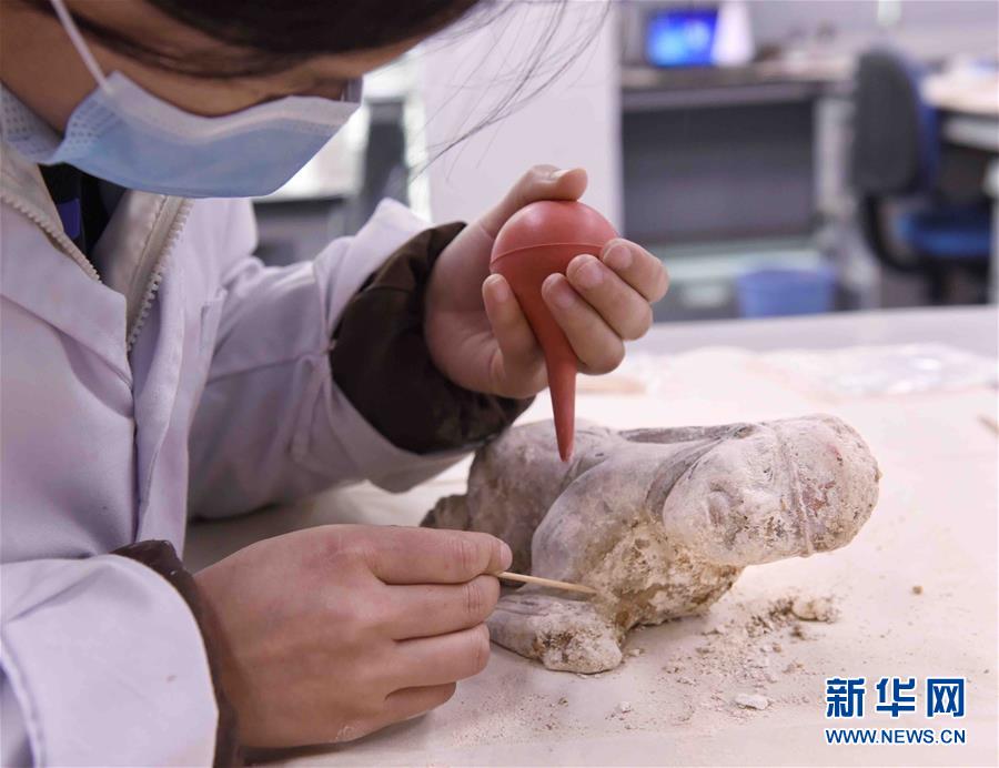 （文化）（2）四川发现北宋正二品官员家族墓