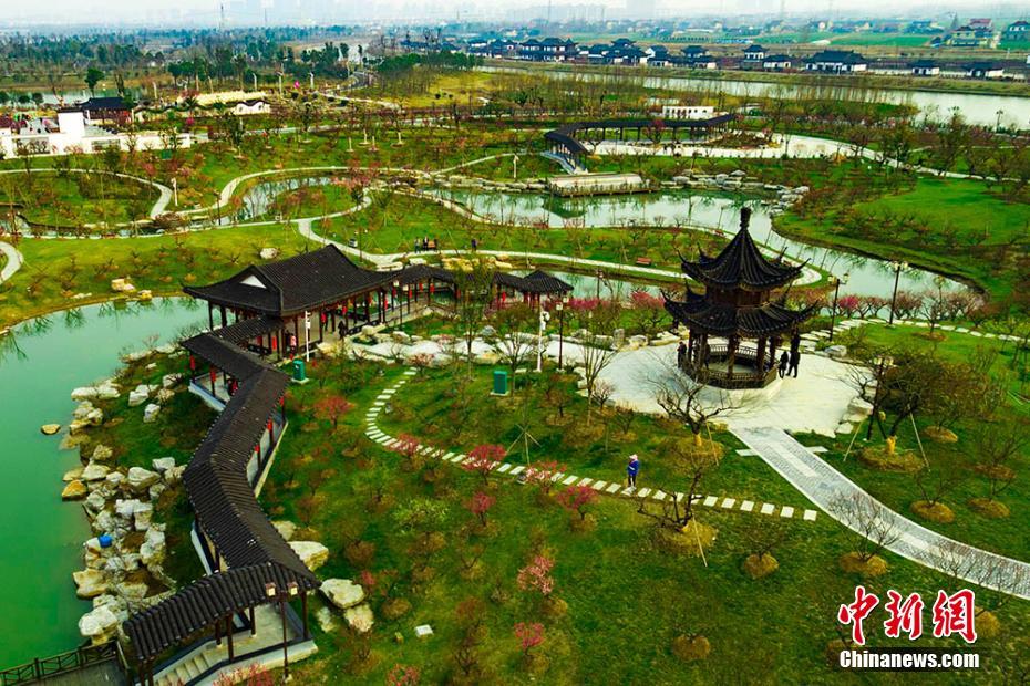 航拍盐城大丰梅花湾 满园春色关不住