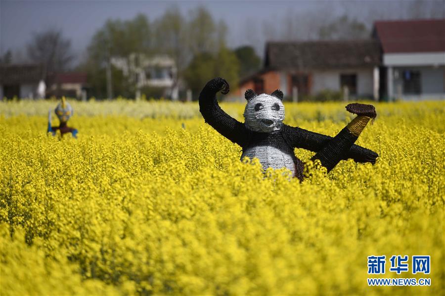 （社会）（3）油菜地里的&ldquo;稻草秀&rdquo;