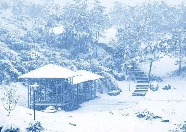 趣读诗词｜谁是诗词中脸皮最厚和眼神最差的人？