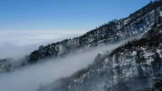 趣读诗词｜谁是诗词中脸皮最厚和眼神最差的人？