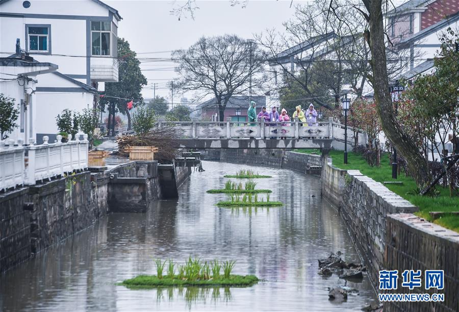（環境）（2）&ldquo;小小河長&rdquo;護綠治水保環境