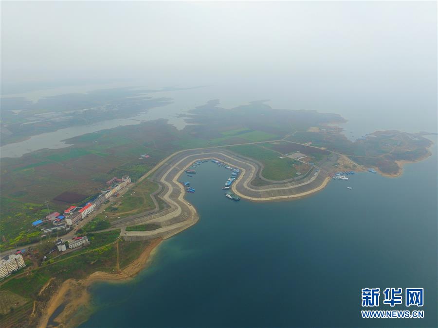 （春季美丽生态）（1）丹江湿地春色美