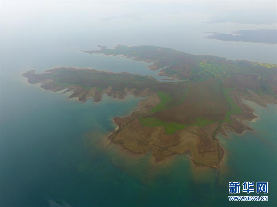 （春季美丽生态）（3）丹江湿地春色美