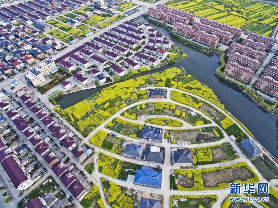 #（春季美丽生态）（1）新农村美景入画来