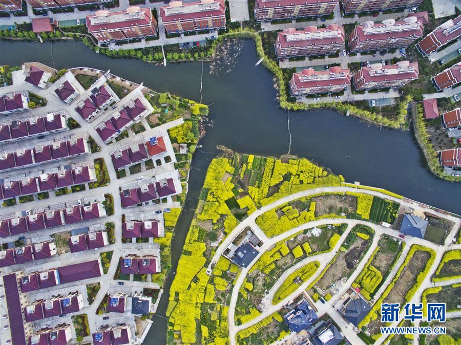 #（春季美丽生态）（2）新农村美景入画来