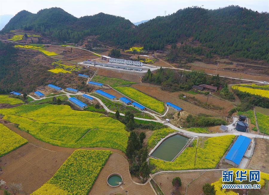 （脱贫攻坚&middot;图文互动）（1）一个大巴山区贫困村的巨变