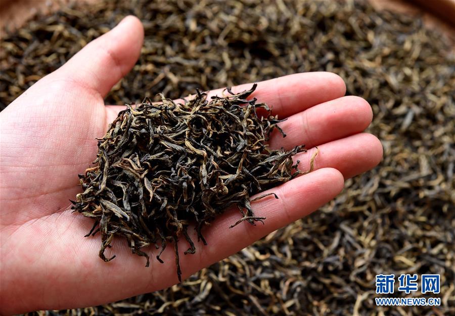 （一带一路&middot;好味道）（7）探秘武夷红茶&mdash;&mdash;&ldquo;金骏眉&rdquo;