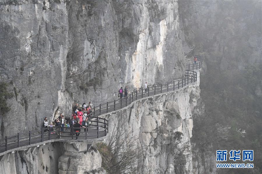 （社会）（1）壮美的恩施大峡谷